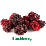 Freeze-Dried Healthy Blackberry snack made with 100% organic fruit 25 gr each