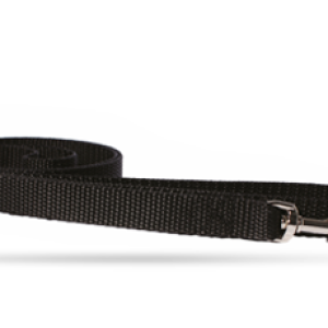 Dog Leash: Nylon Strap 1" Plain Color/Design