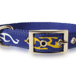 Nylon Dog Collar 1"