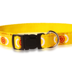 Nylon Dog Collar 5/8"