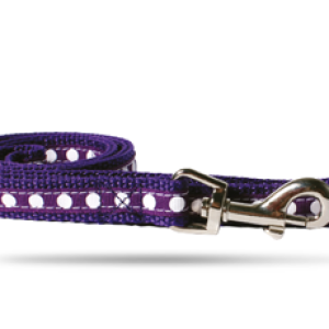 Dog Leash: Nylon Strap 5/8" Plain Color/Design