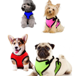 Dog Harness  Vest