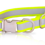 Dog radiance strap with 'silver' type hardware