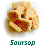 Freeze-Dried Healthy Soursop snack made with 100% organic fruit 25 gr each